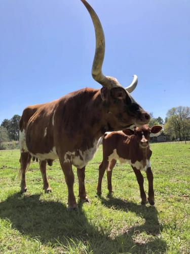 162499024_111781994331041_8122689635139977013_o