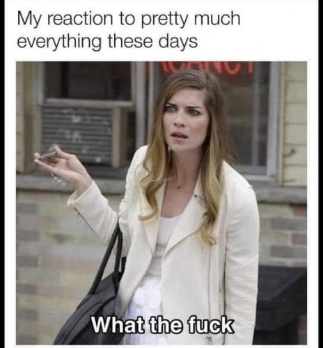 11:38:39 GMT-0400 (EDT).image