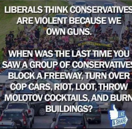 libs think cons are violent