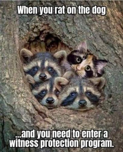 19:21:07 GMT-0800 (PST)