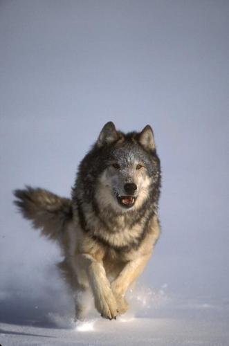 158699811_1529364210596257_2250521161889653671_n