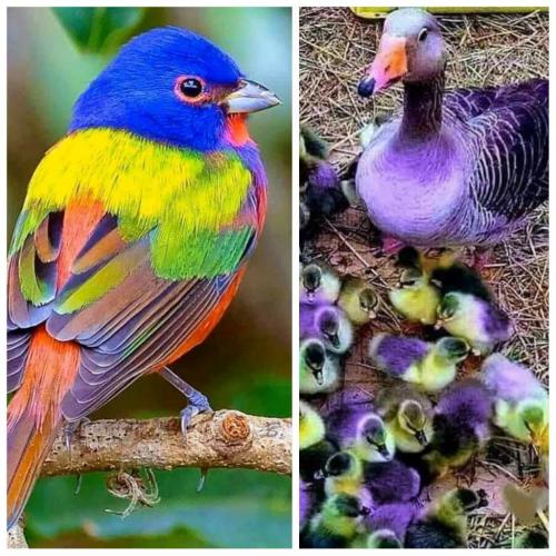 13:55:21 GMT-0400 (EDT)