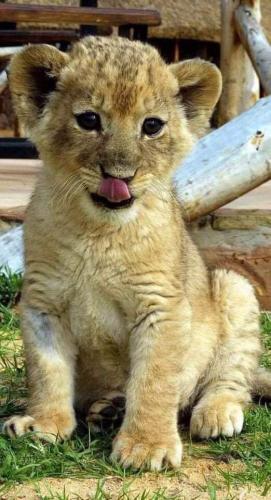 07:23:55 GMT-0600 (CST)