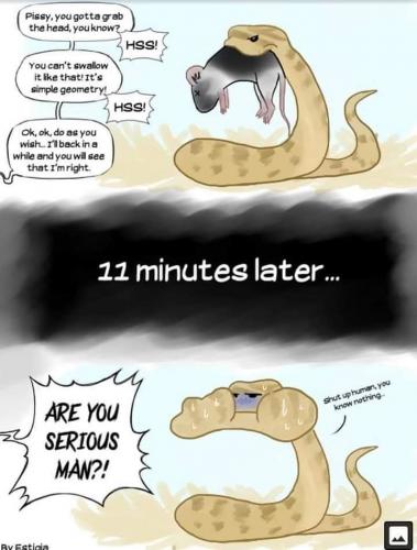 12:53:30 GMT-0500 (EST)