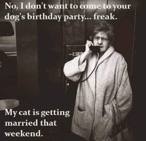 21:37:01 GMT-0700 (PDT)