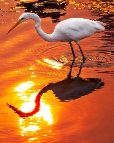 160304702_1819352131564324_4382140272775252286_o