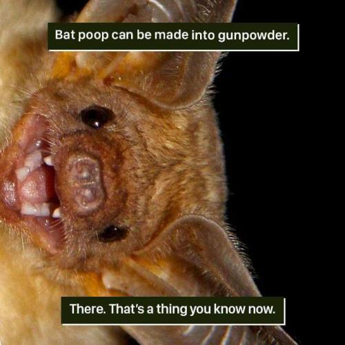 19:51:03 GMT-0500 (EST)