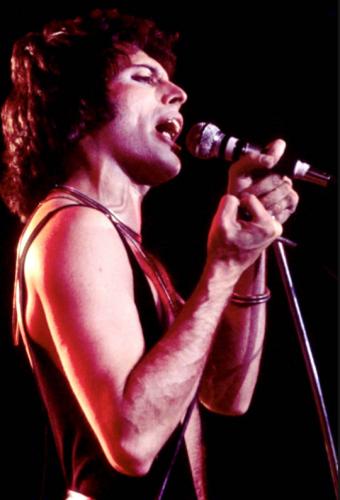 tumblr_51f62f6053fa6458c2d21bc58161df4b_56cfbc04_540