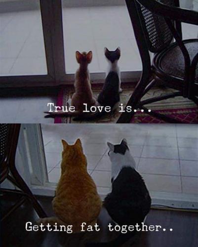 08:56:37 GMT-0500 (EST)