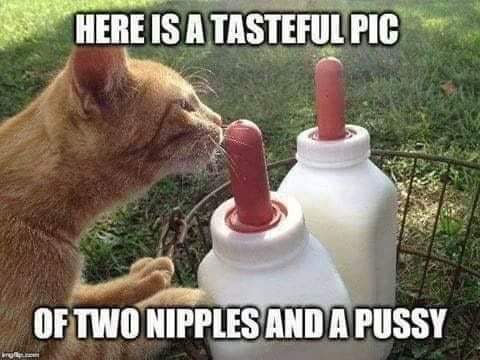 20:43:00 GMT-0800 (PST)