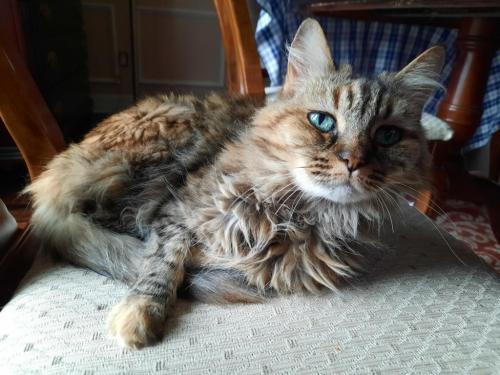 11:06:53 GMT-0500 (CDT)