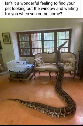 157511734_10214348062734631_651752396639664784_o