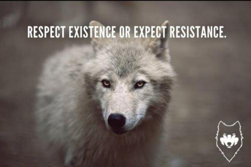 Screenshot_20210322-221326_Wimkin