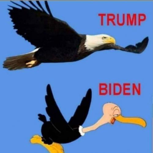 cd12c080f58fedf0f51ff1c4ad3c1f6b_1024