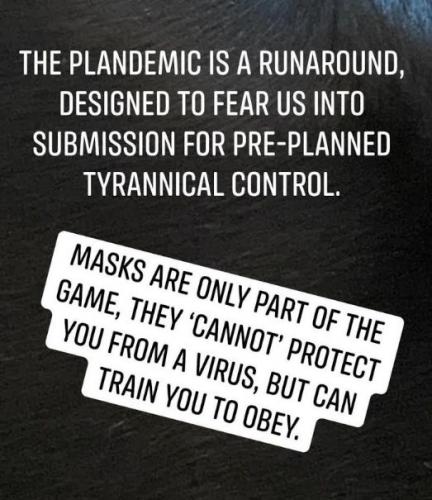 plandemic07