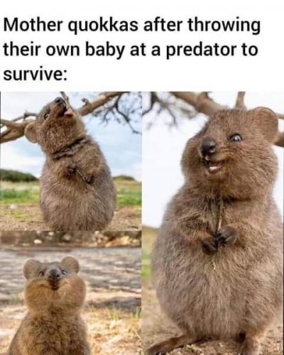 20:57:57 GMT-0700 (PDT)