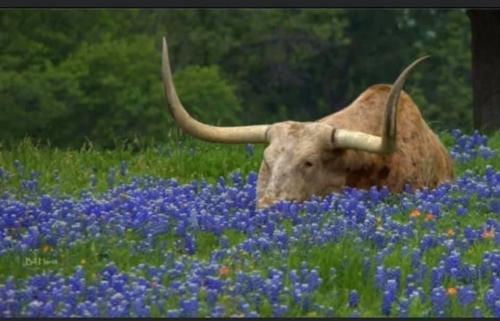 10:05:18 GMT-0600 (CST).image