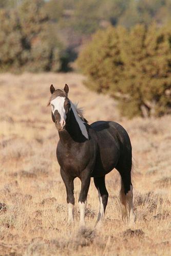 13912395_10205067101037364_8975296098607565602_n