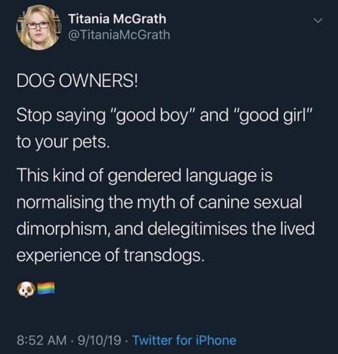 10:58:08 GMT-0500 (EST).image