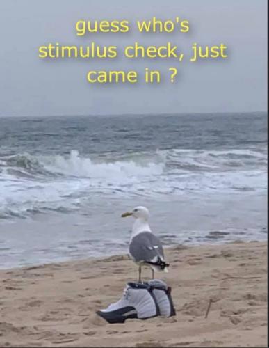 104202200_336879517283025_3513136312555202239_n