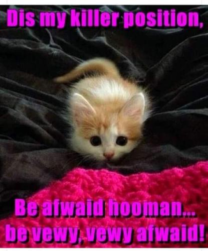 20:31:04 GMT-0700 (PDT)