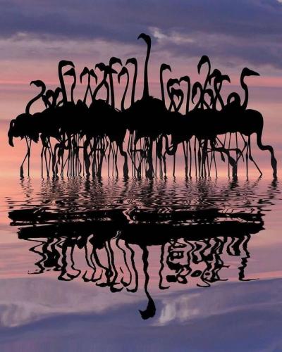 163519286_1826457550853782_790041068317362367_o