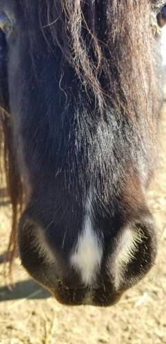 07:39:25 GMT-0800 (PST).image