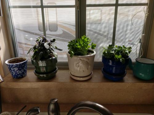 13:45:45 GMT-0600 (MDT)