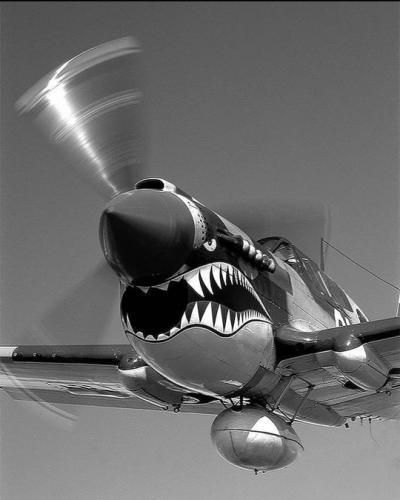 tumblr_2cd82f55e181ca574147c55e743b4504_4ecc55d3_540