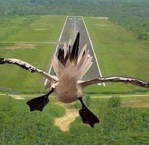 11:59:22 GMT-0400 (EDT)