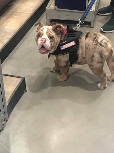 11:15:22 GMT-0800 (PST)