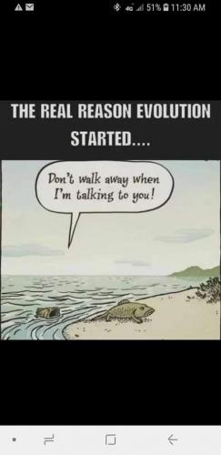 21:31:44 GMT-0700 (PDT)