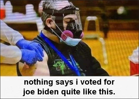 i voted for joe biden
