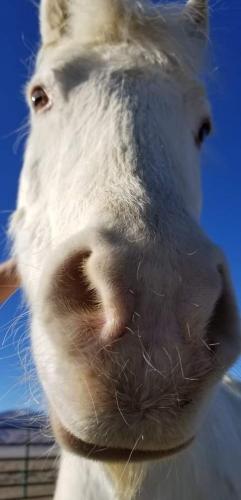 07:39:25 GMT-0800 (PST).image