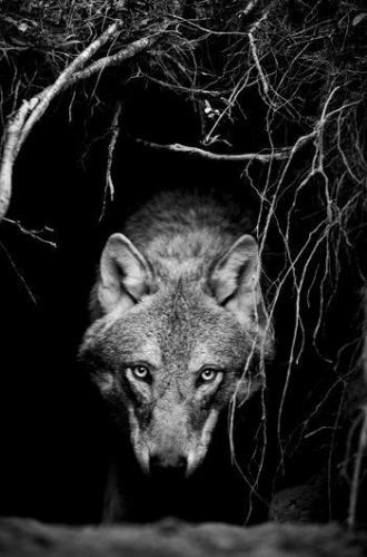 09:50:54 GMT-0500 (CDT)