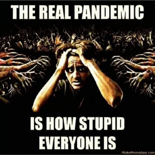 01:17:43 GMT-0800 (PST).image