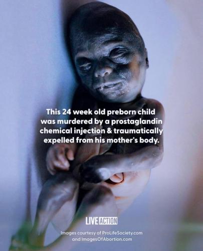 Tumblr_l_627812578774419