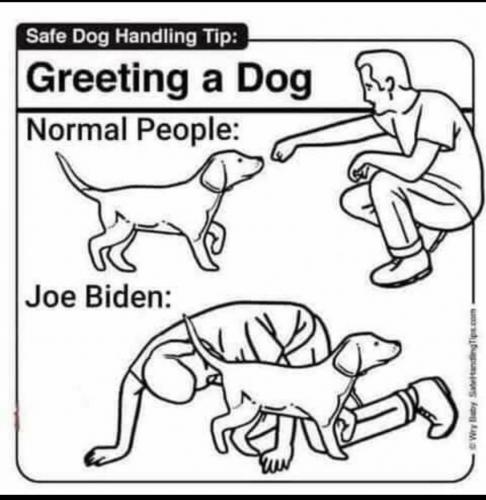 17:09:32 GMT-0500 (EST).image