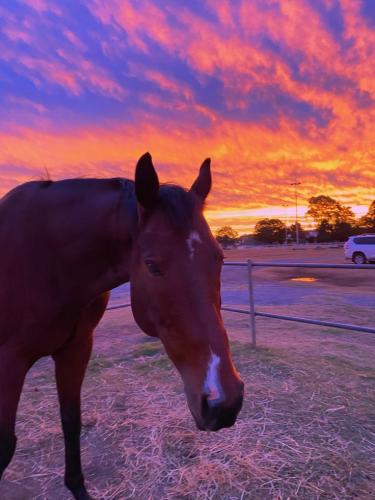 20:11:36 GMT-0500 (CDT)