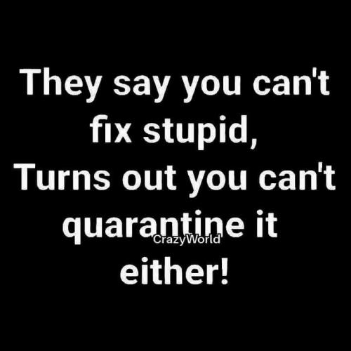 92173728_10157194025382444_4246950231645618176_n