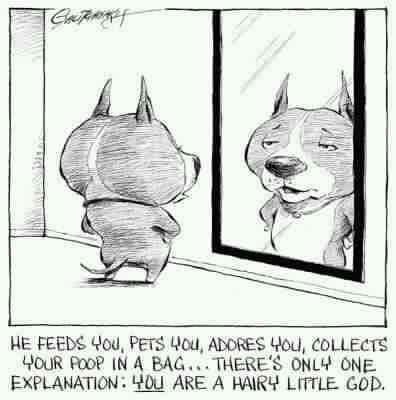 10:35:37 GMT-0500 (CDT)