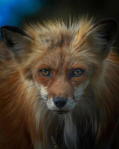 156399402_1811995858966618_1506084750990959596_o