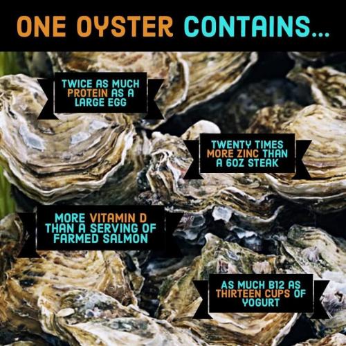 83344783_176574963701644_640275299077980160_o