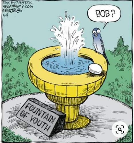 11:58:22 GMT-0800 (PST)