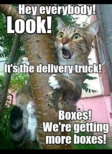 21:00:53 GMT-0700 (PDT)