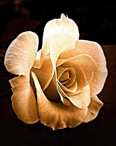 21:52:29 GMT-0800 (PST)