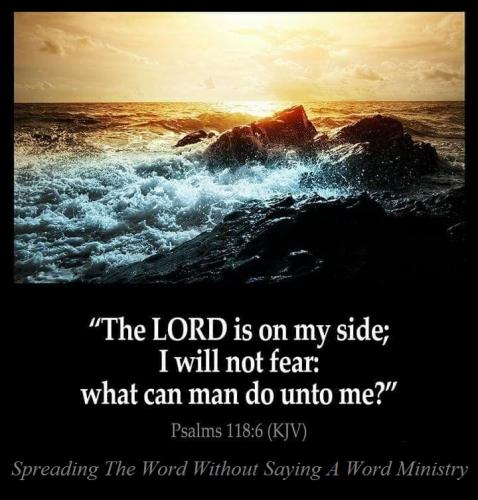 164897097_458124092172387_2944248784629085799_n