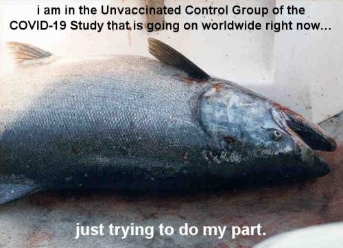 vaccine114