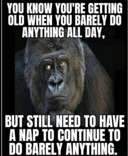 photo_2021-02-12_04-16-51