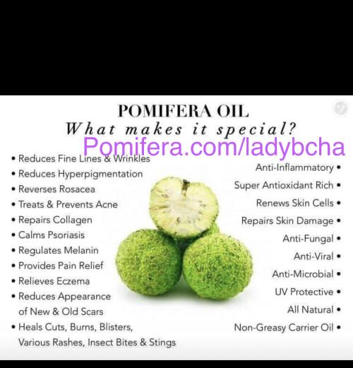 2757E694-BDEA-467E-B3E5-B30C03FE1B22